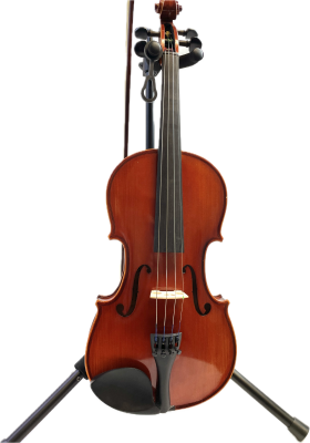 Store Special Product - Eastman Strings Violin Outfit 4/4 Size